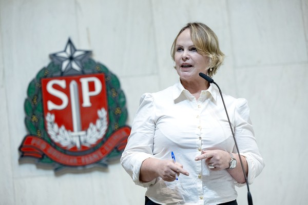 Ana Perugini quer Alesp referência no combate à violência de gênero