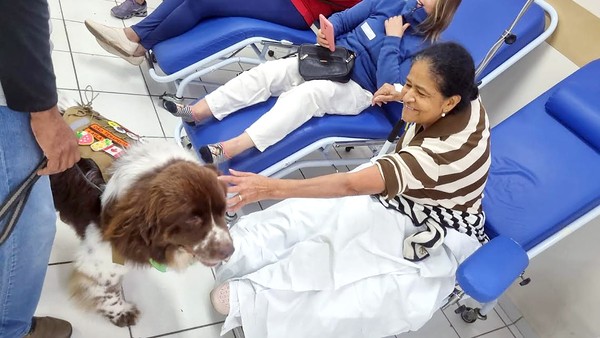 Cães adestrados alegram pacientes no Hospital Municipal Mario Covas