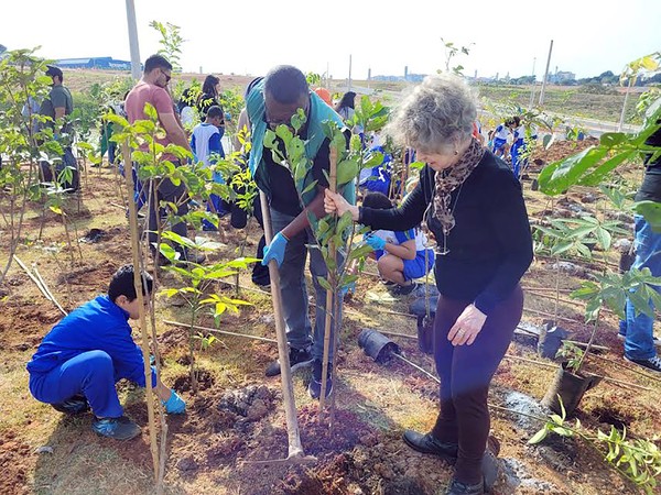 Hortolândia amplia plantio de árvores em agenda ambiental