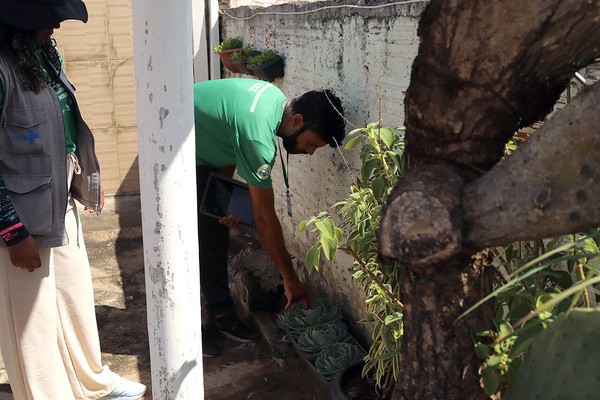 Hortolândia confirma 8ª morte por dengue e intensifica combate ao Aedes