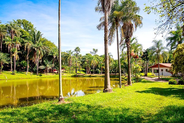 Paulínia anuncia que Jardim Botânico vai abrir todos os dias