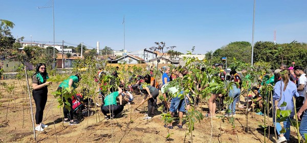 Hortolândia ganha segunda micro floresta urbana e quer mais 8 mil mudas neste ano