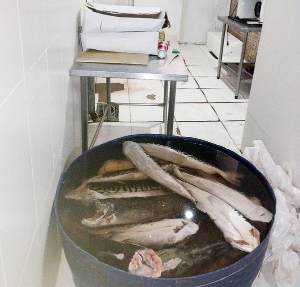 Guarda Municipal interdita frigorífico de peixes em Hortolândia por más condições