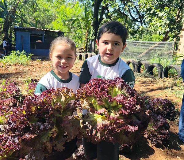 Horta escolar rende colheita e reforça merenda saudável na rede de Sumaré