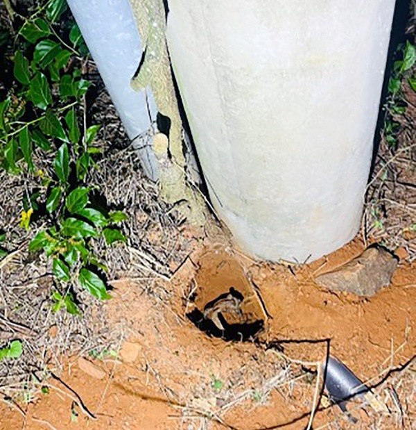 Homem sofre queimaduras graves ao tentar furtar fios de subestação em Sumaré