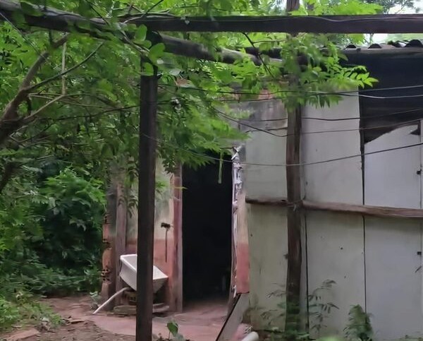 Homem é preso acusado de feminicídio após matar e queimar corpo de vizinha em Nova Odessa