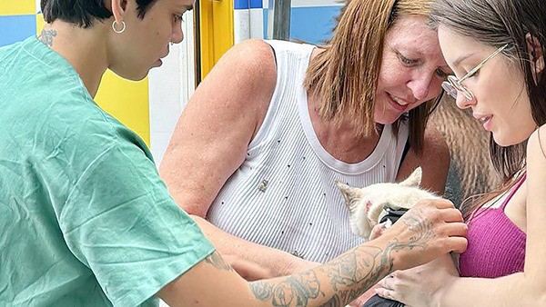Americana confirma implantação de serviço móvel para cães e gatos
