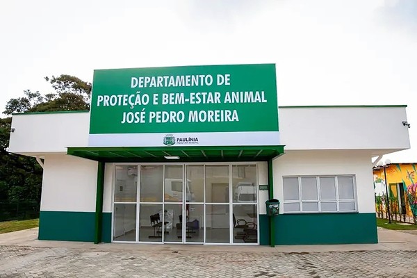 Paulínia faz cadastramento de protetor independente e ONGs