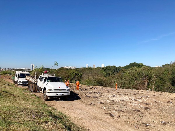 Parque Lago da Fé ganhará mil mudas de espécies nativas em Hortolândia
