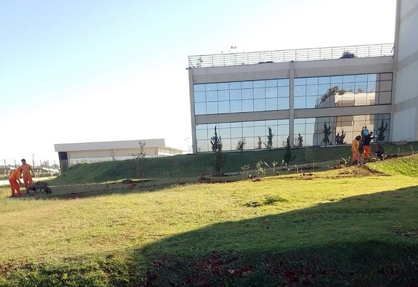 Entorno do Paço Municipal ganha 180 mudas em Hortolândia