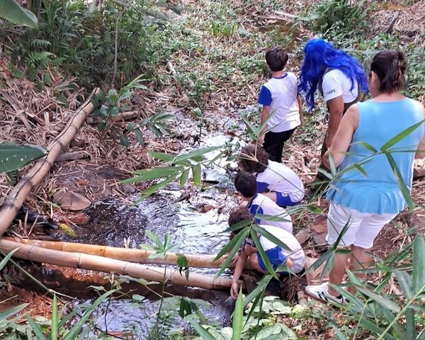 Série de ações ambientais destaca Mês da Árvore em Hortolândia